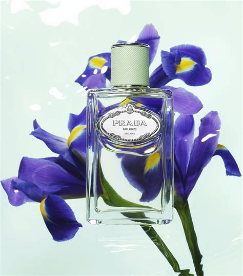 prada infusion iris review|Prada infusion d'iris reviews.